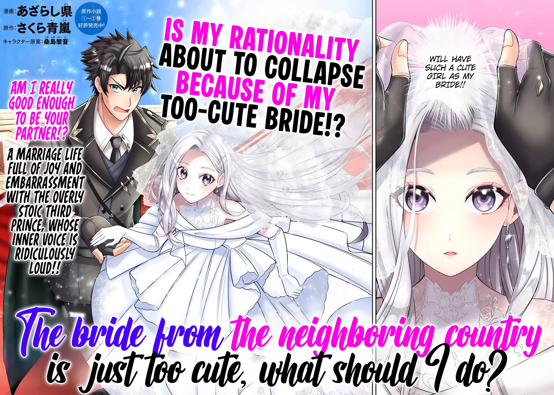 My Wife from the Neighboring Country Is So Cute, I Don't Know What to Do! chapter 1 page 3