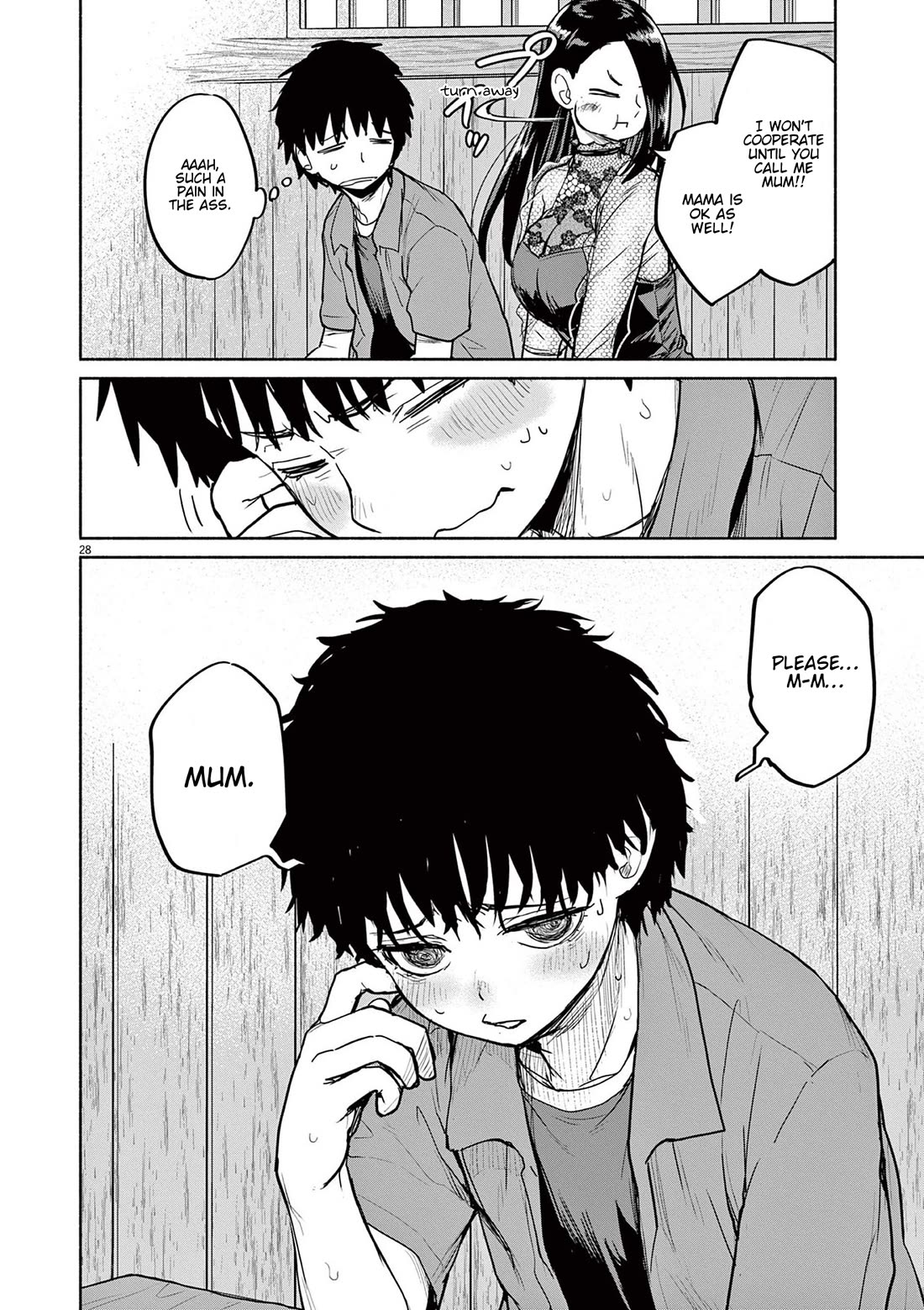 Mysteries, Maidens, And Mysterious Disappearances chapter 70 page 28