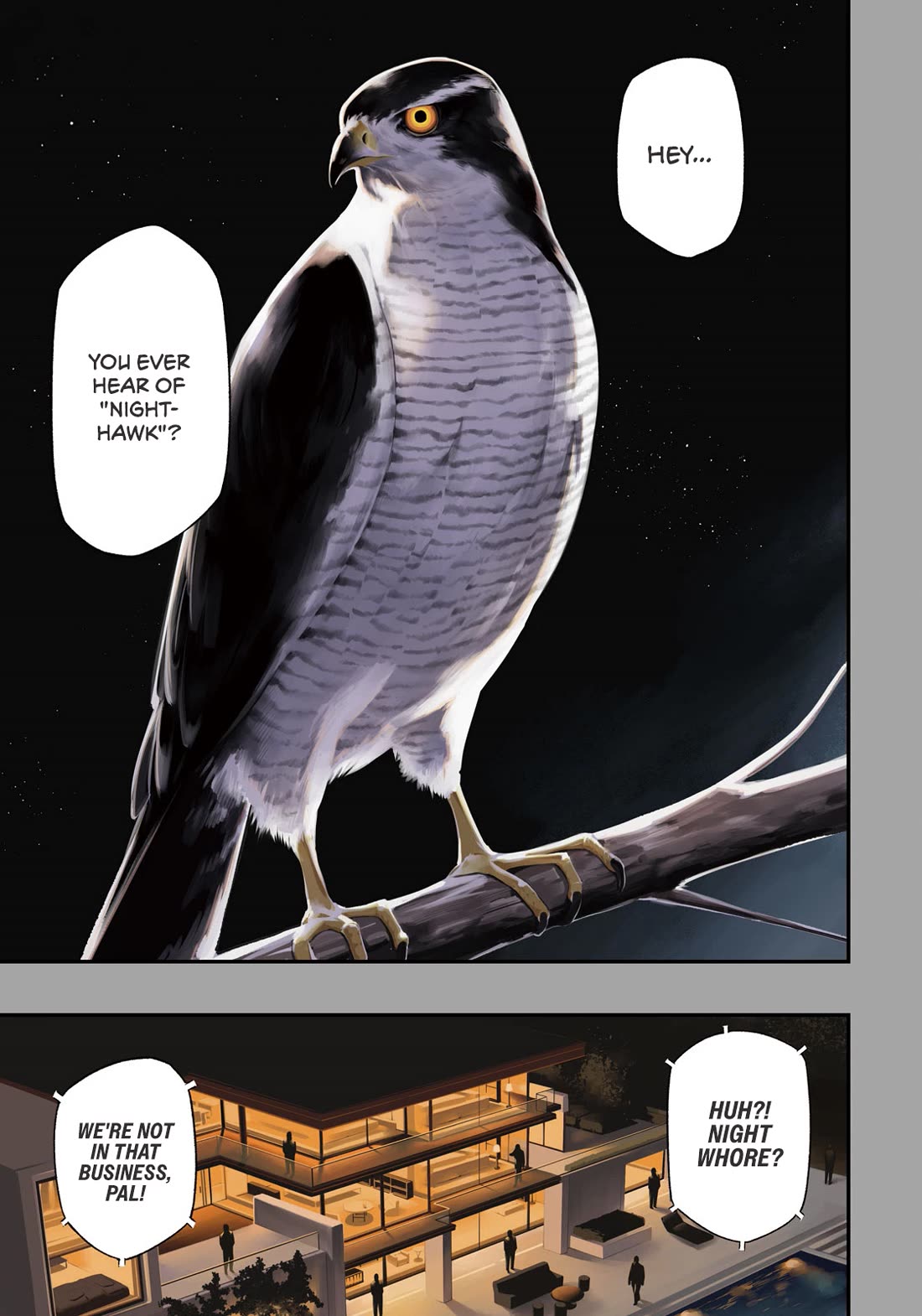 Nighthawk Returns chapter 1 page 1