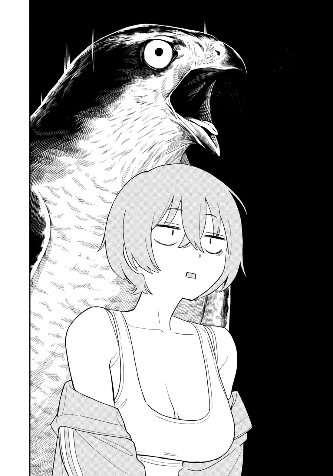 Nighthawk Returns chapter 1 page 29