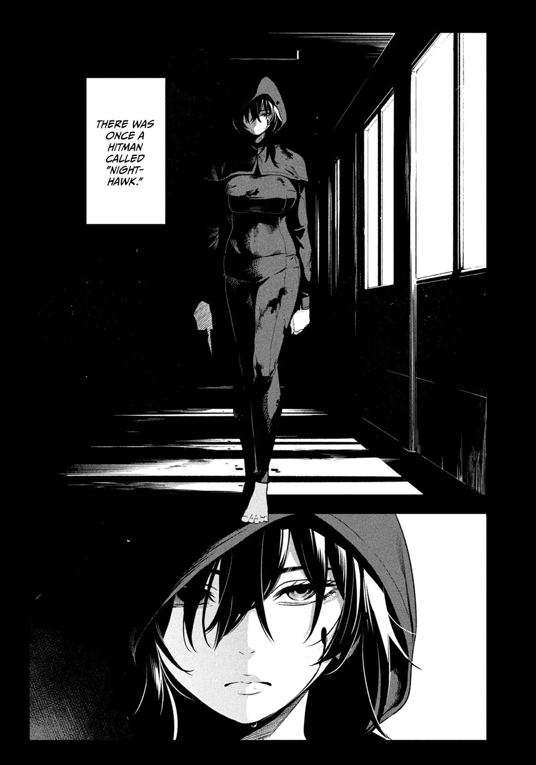 Nighthawk Returns chapter 3 page 1