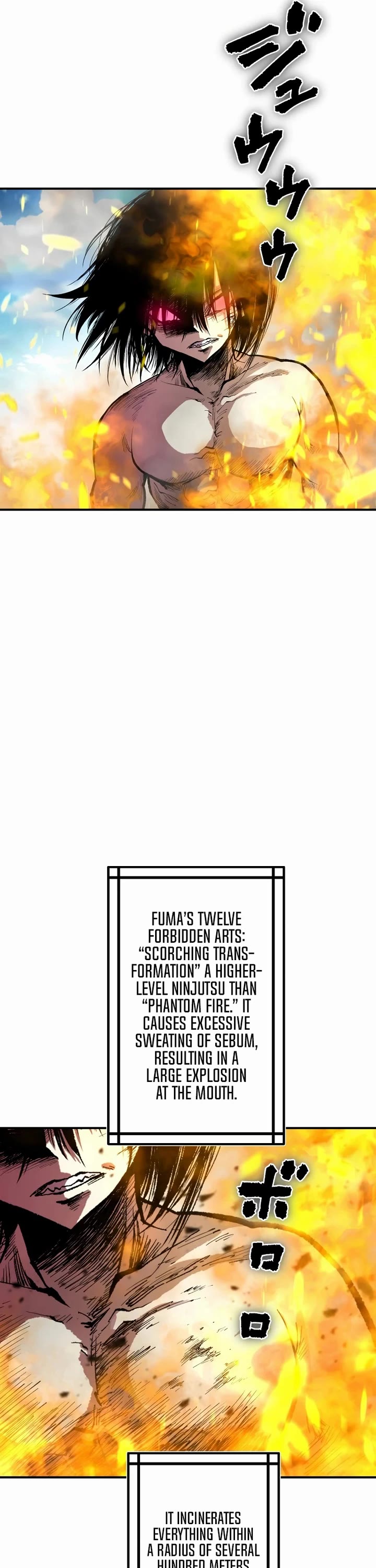 Ninja Reincarnation: Fuuma Kotarou's Quest to Reclaim His Humanity chapter 27 page 41