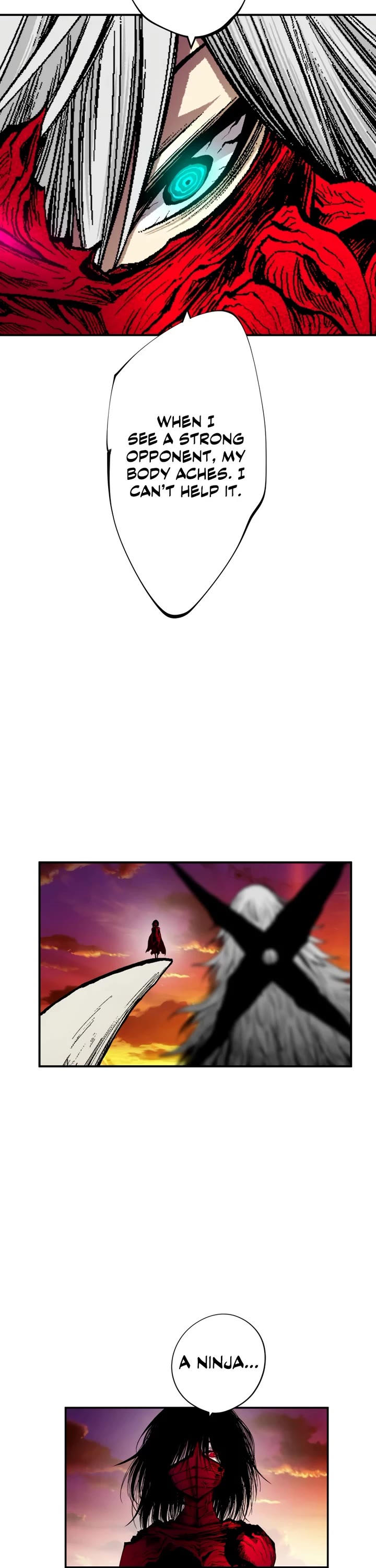 Ninja Reincarnation: Fuuma Kotarou's Quest to Reclaim His Humanity chapter 37 page 17