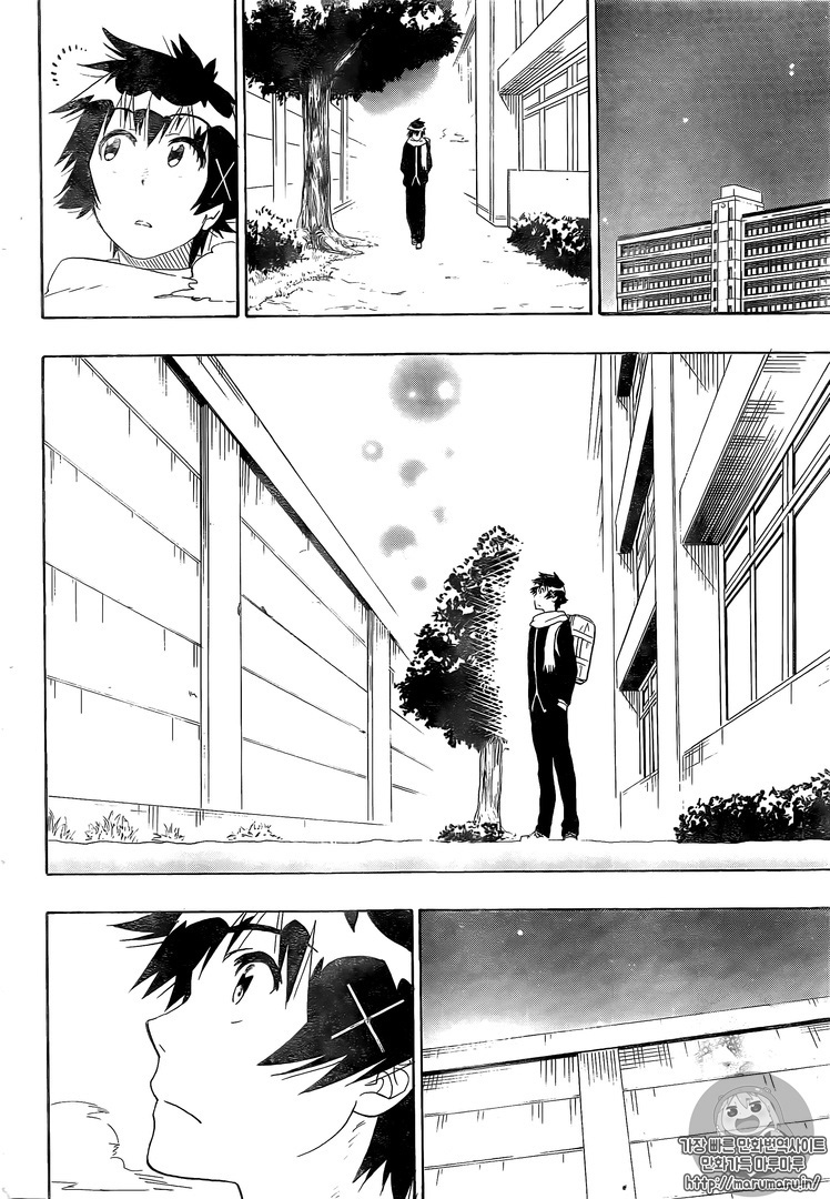 Nisekoi chapter 228 page 14