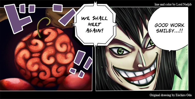 One Piece chapter 677 page 3