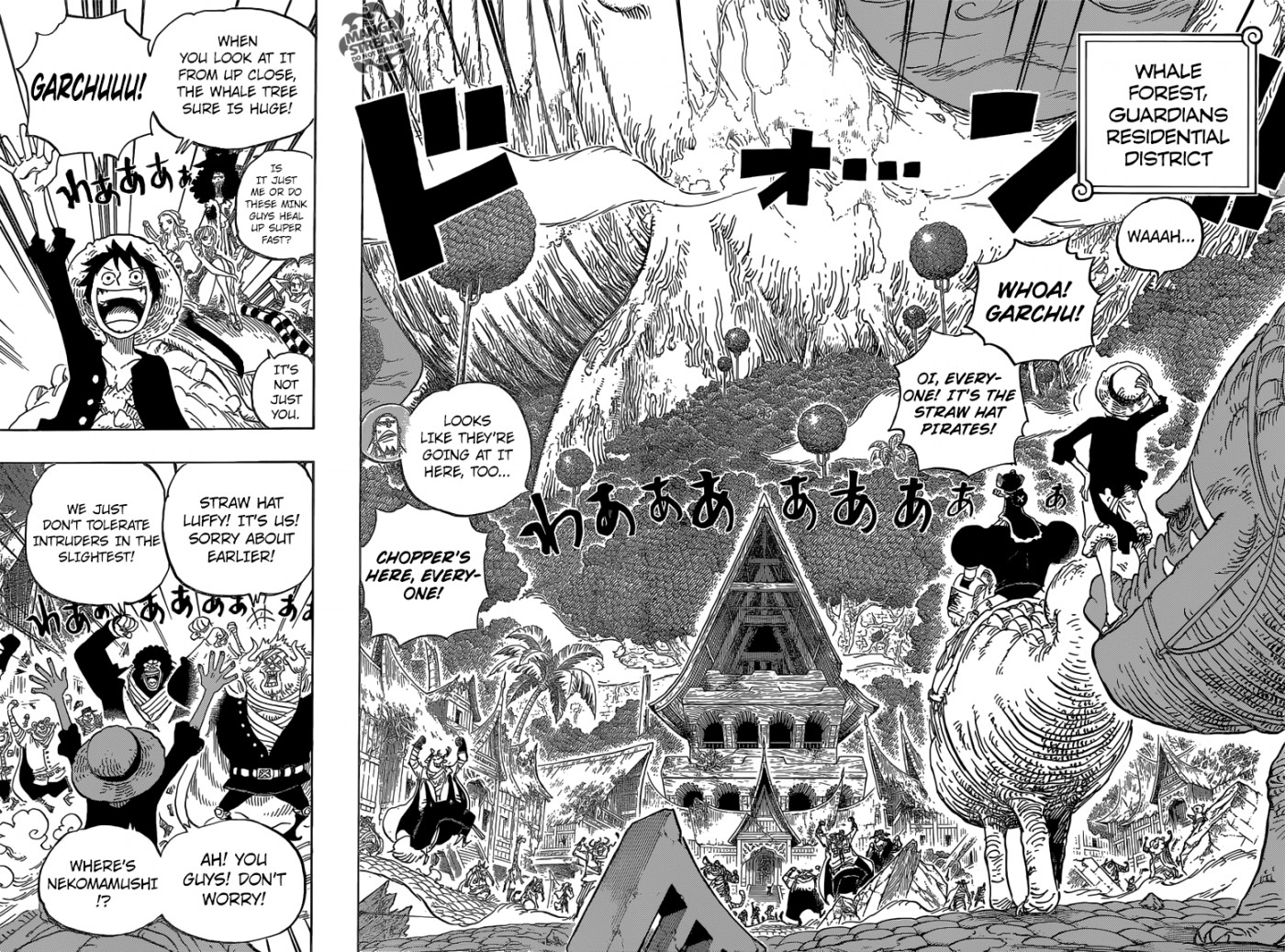 One Piece chapter 814 page 13