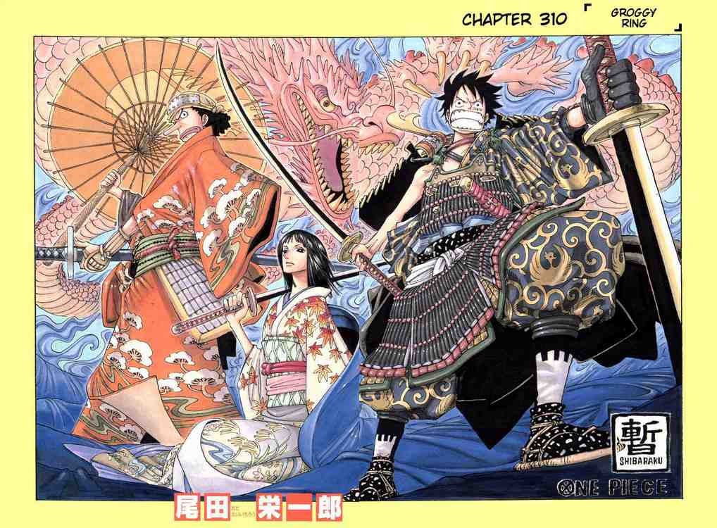 One Piece chapter 310 page 1