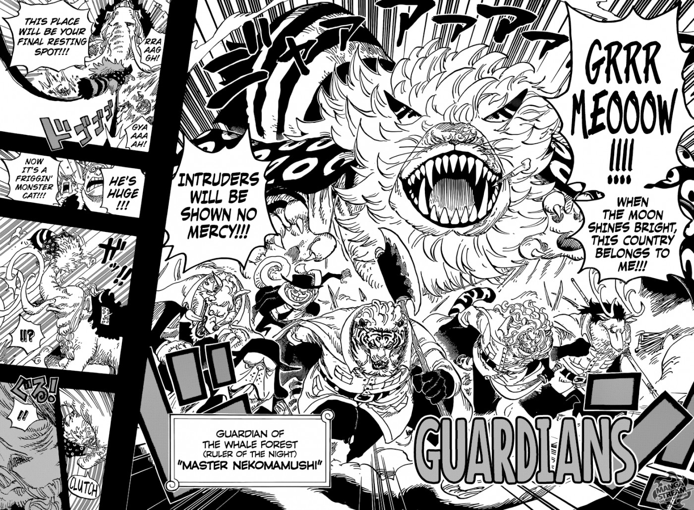 One Piece chapter 809 page 18