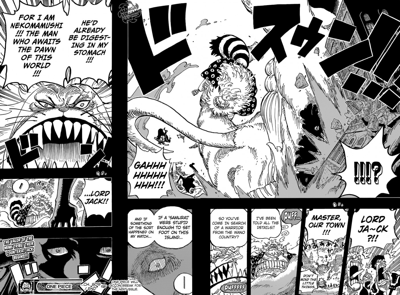 One Piece chapter 809 page 19
