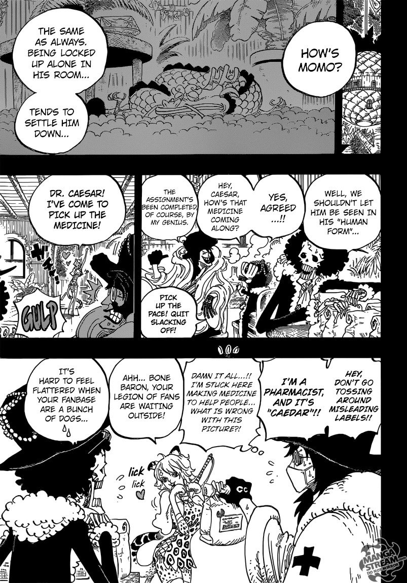 One Piece chapter 812 page 8