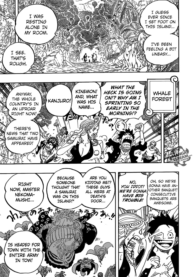 One Piece chapter 816 page 8