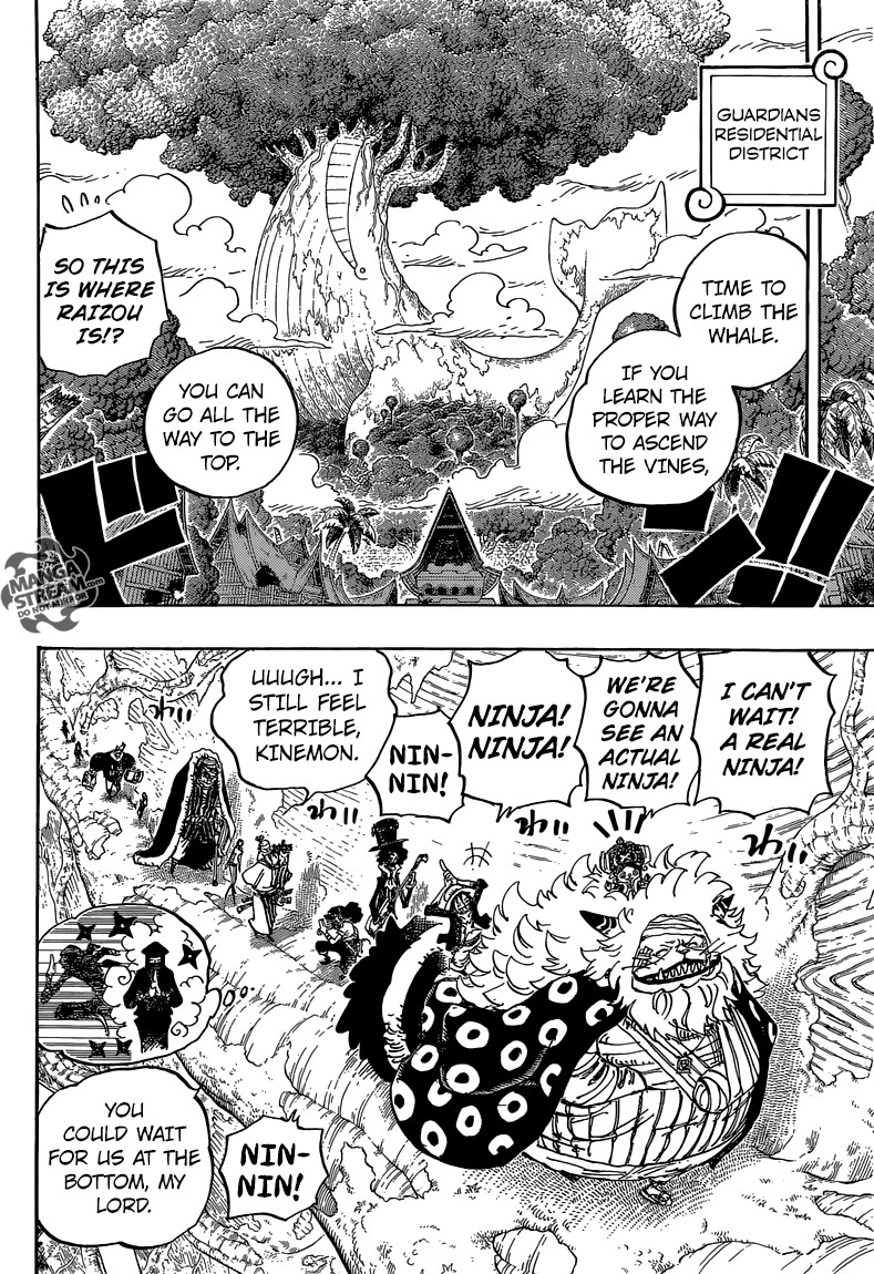 One Piece chapter 817 page 13
