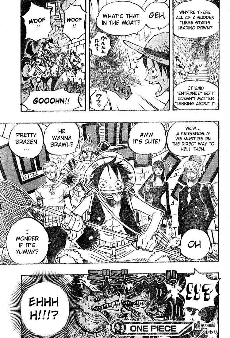 One Piece chapter 446 page 18