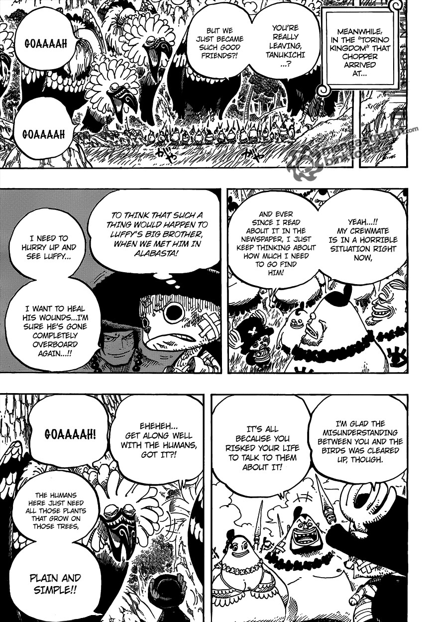 One Piece chapter 591 page 17