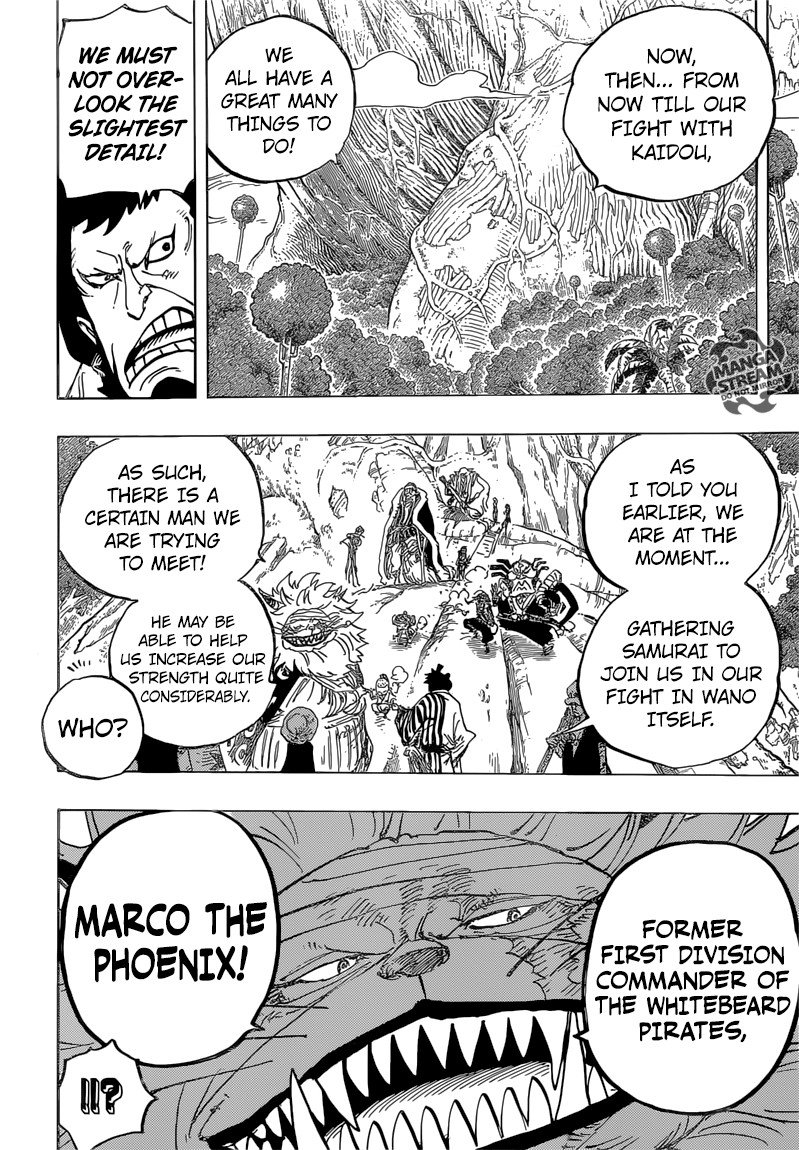 One Piece chapter 820 page 13