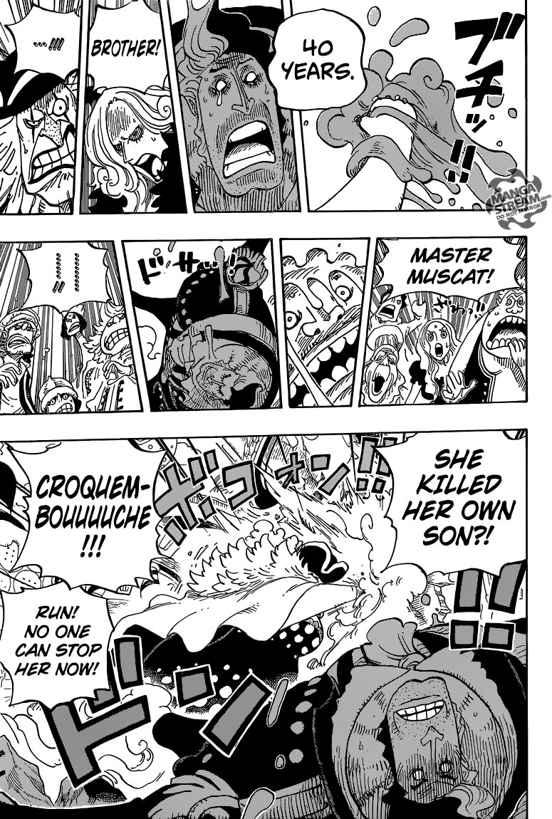 One Piece chapter 829 page 14