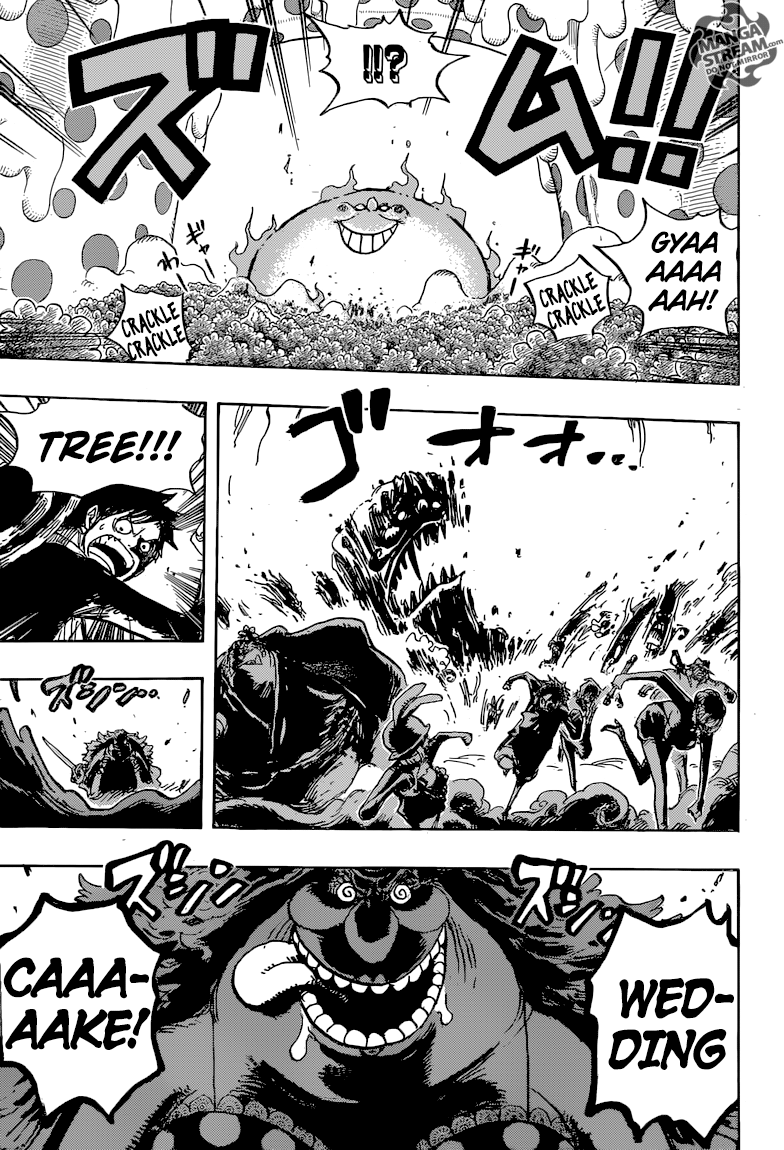 One Piece chapter 874 page 16