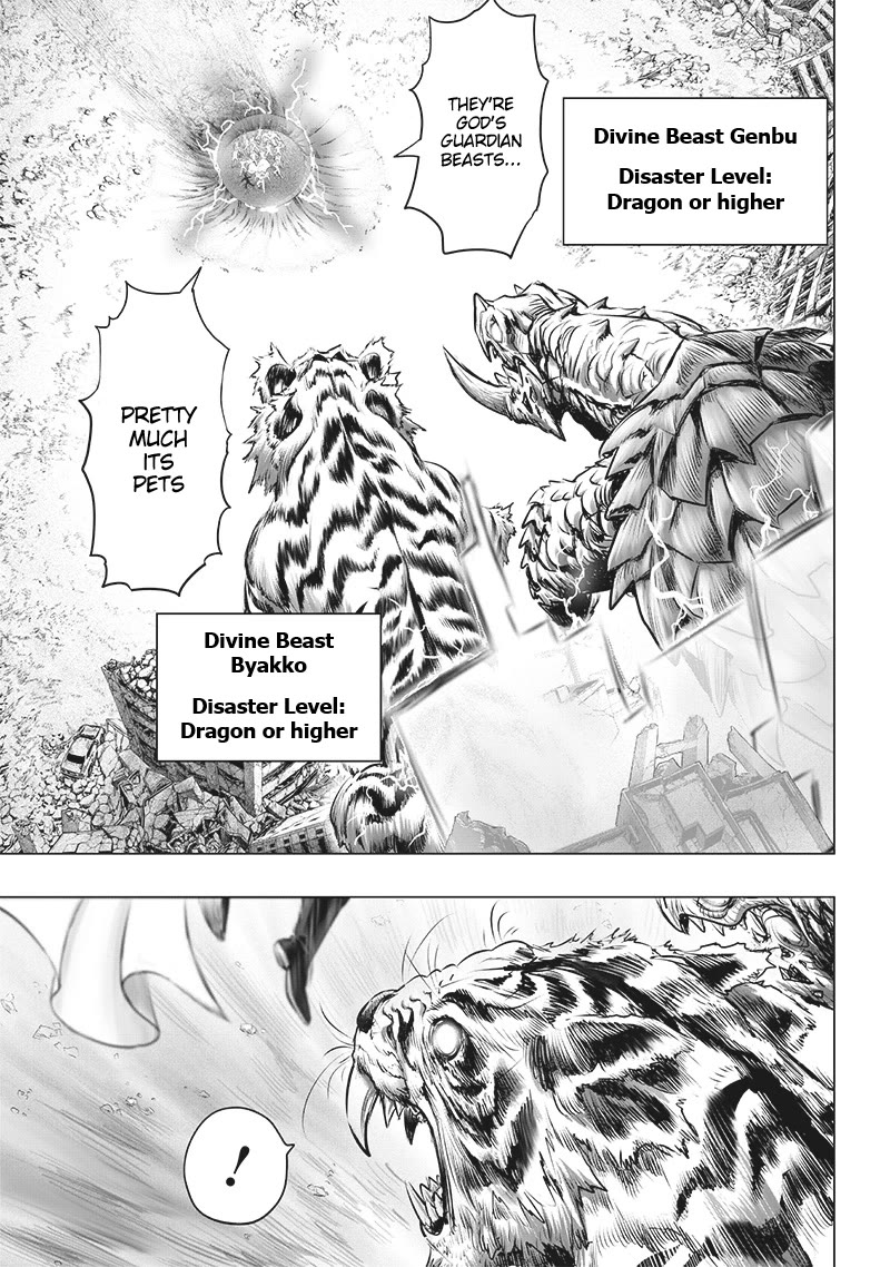 Onepunch-Man chapter 202 page 4