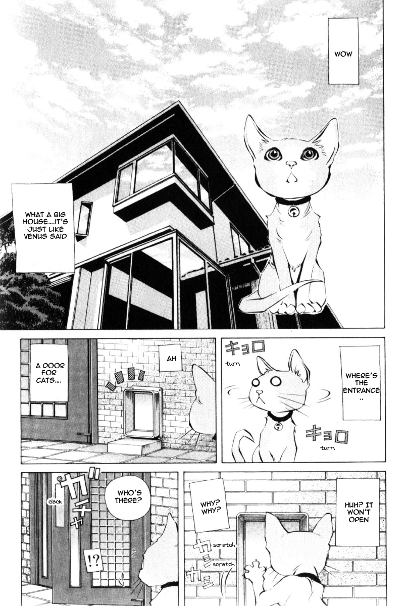 Pastel chapter 125 page 25