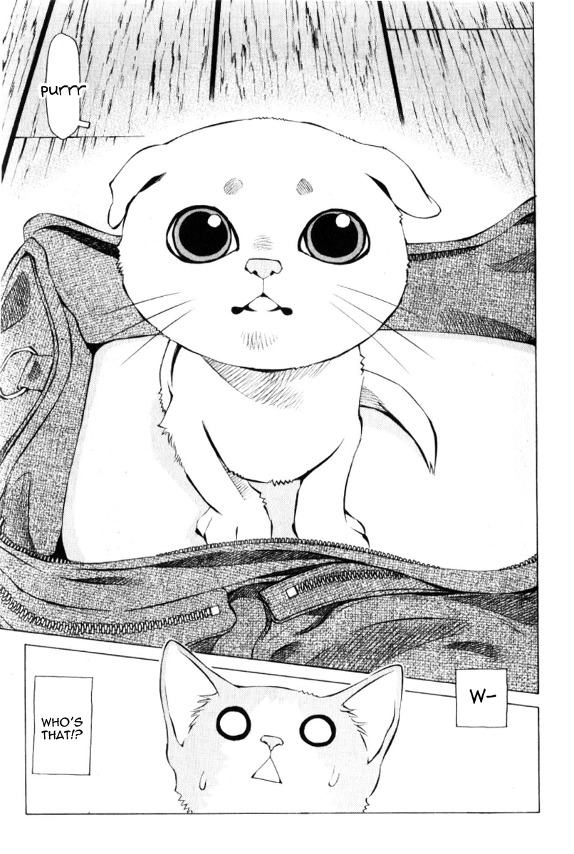 Pastel chapter 125 page 3