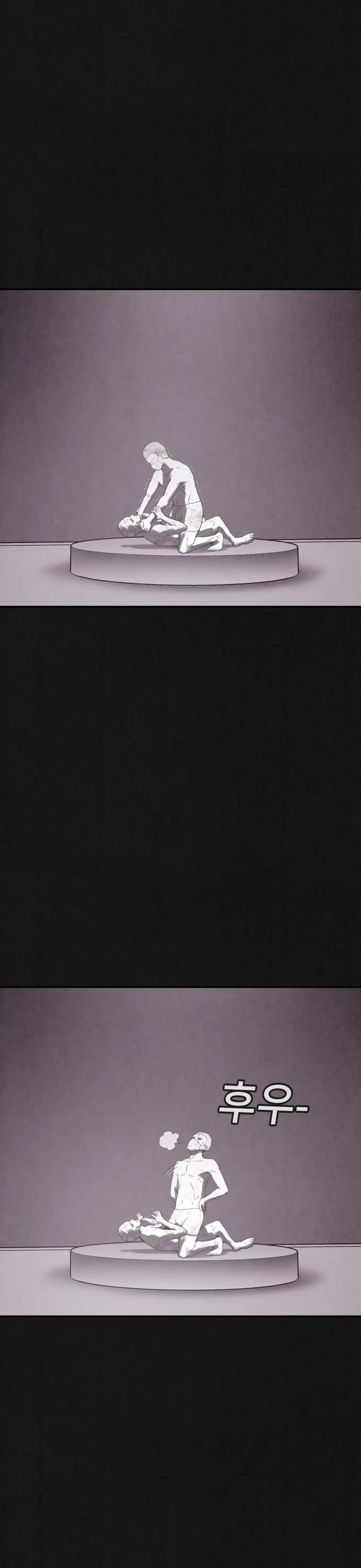 Plagiarism Suspicion chapter 3 page 37