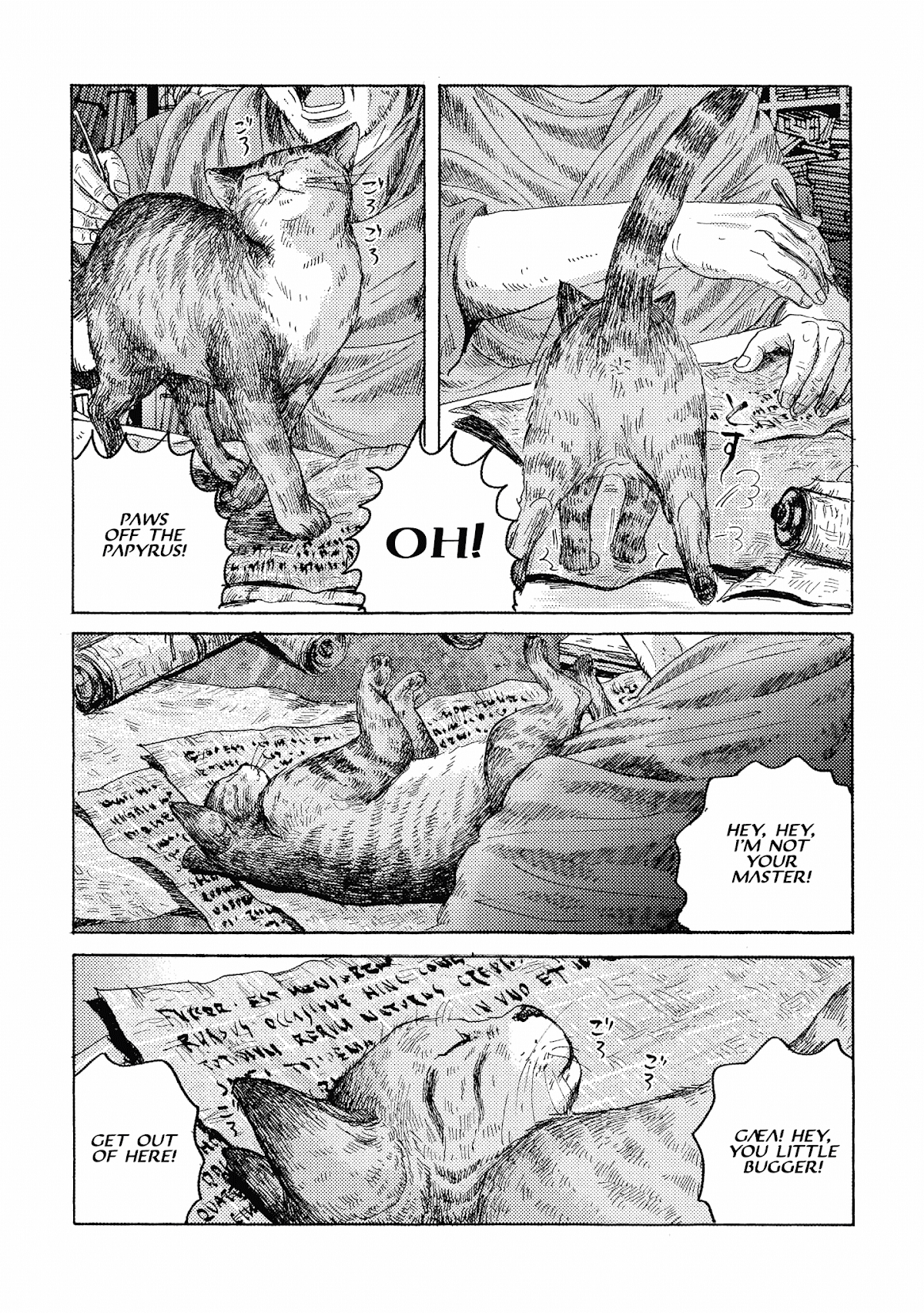 Plinivs chapter 15 page 13