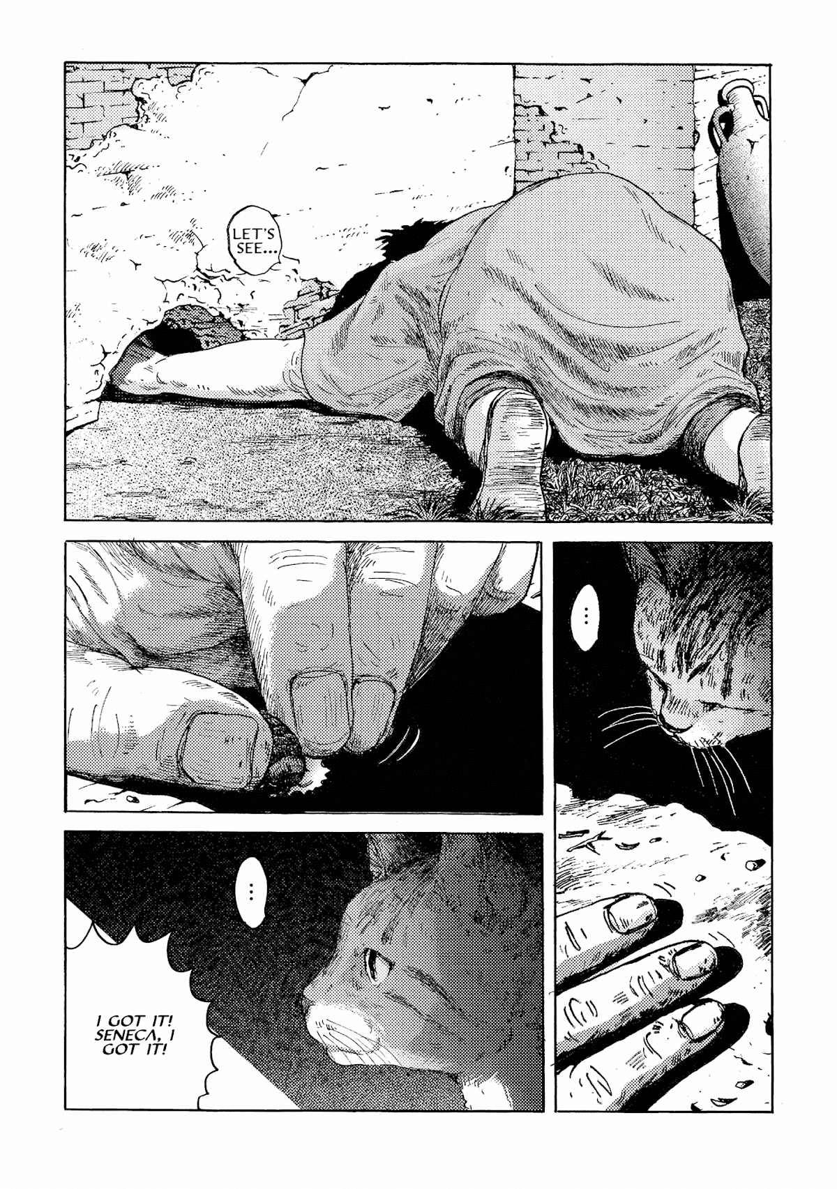 Plinivs chapter 15 page 18