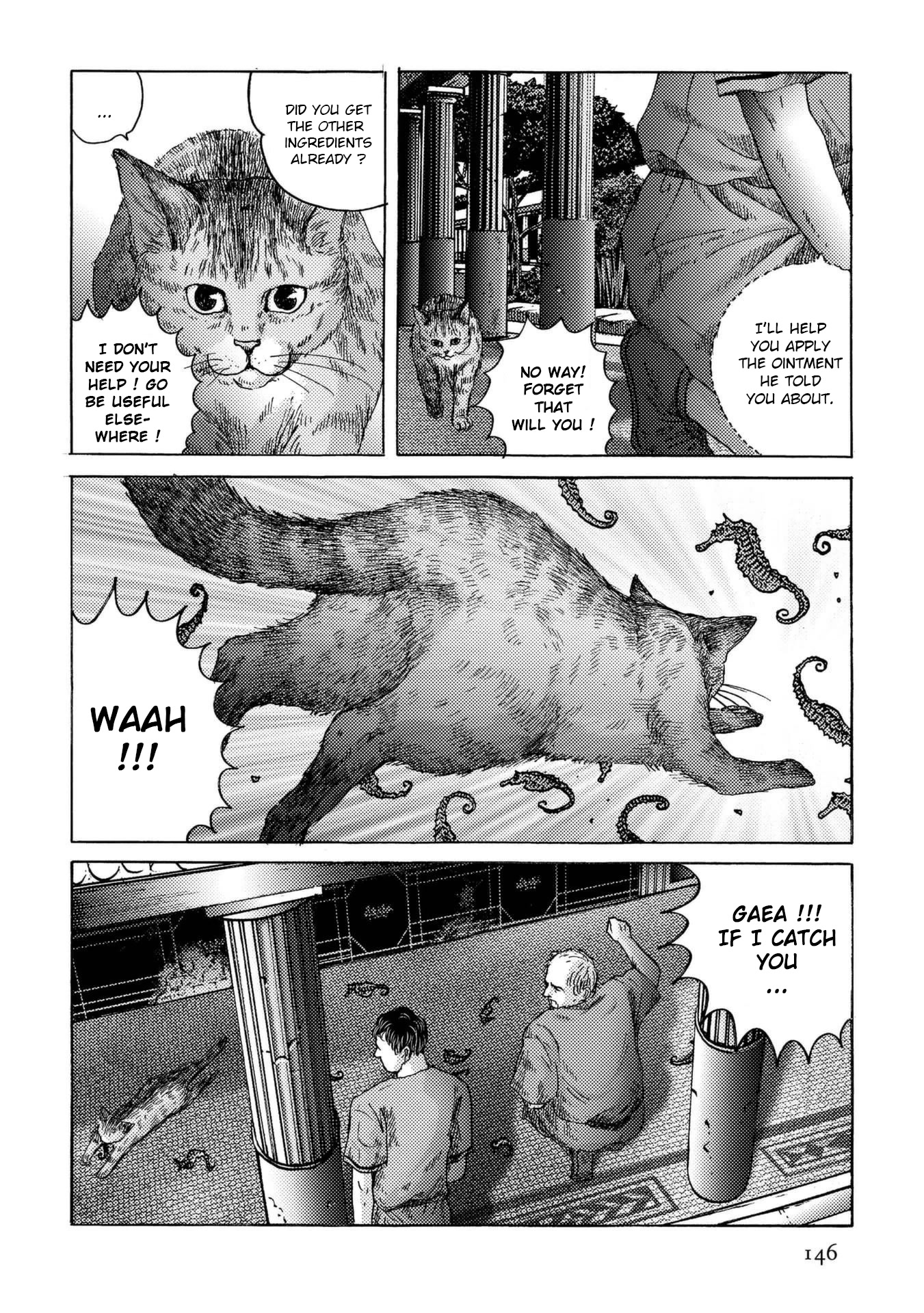 Plinivs chapter 27 page 14