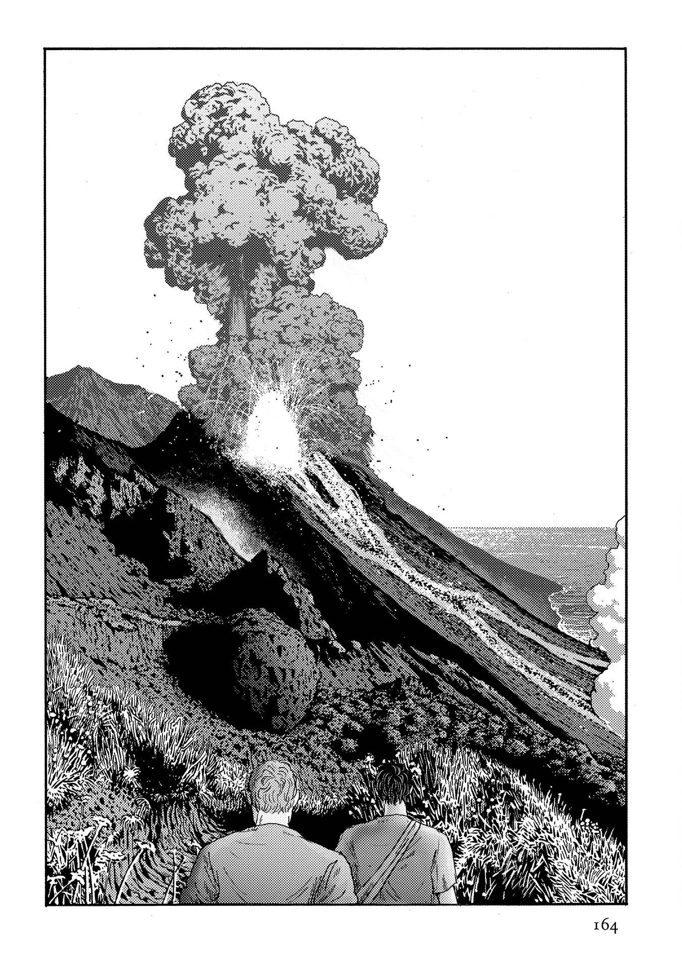 Plinivs chapter 35 page 4