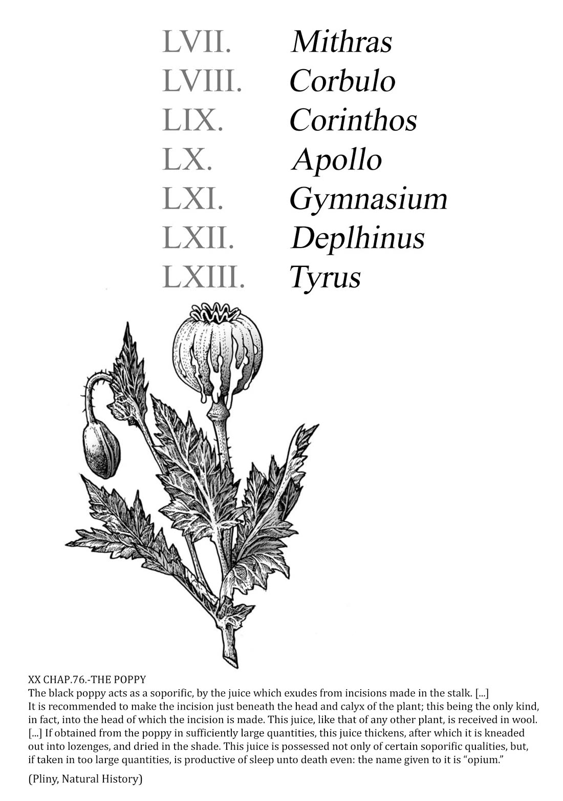 Plinivs chapter 57 page 4