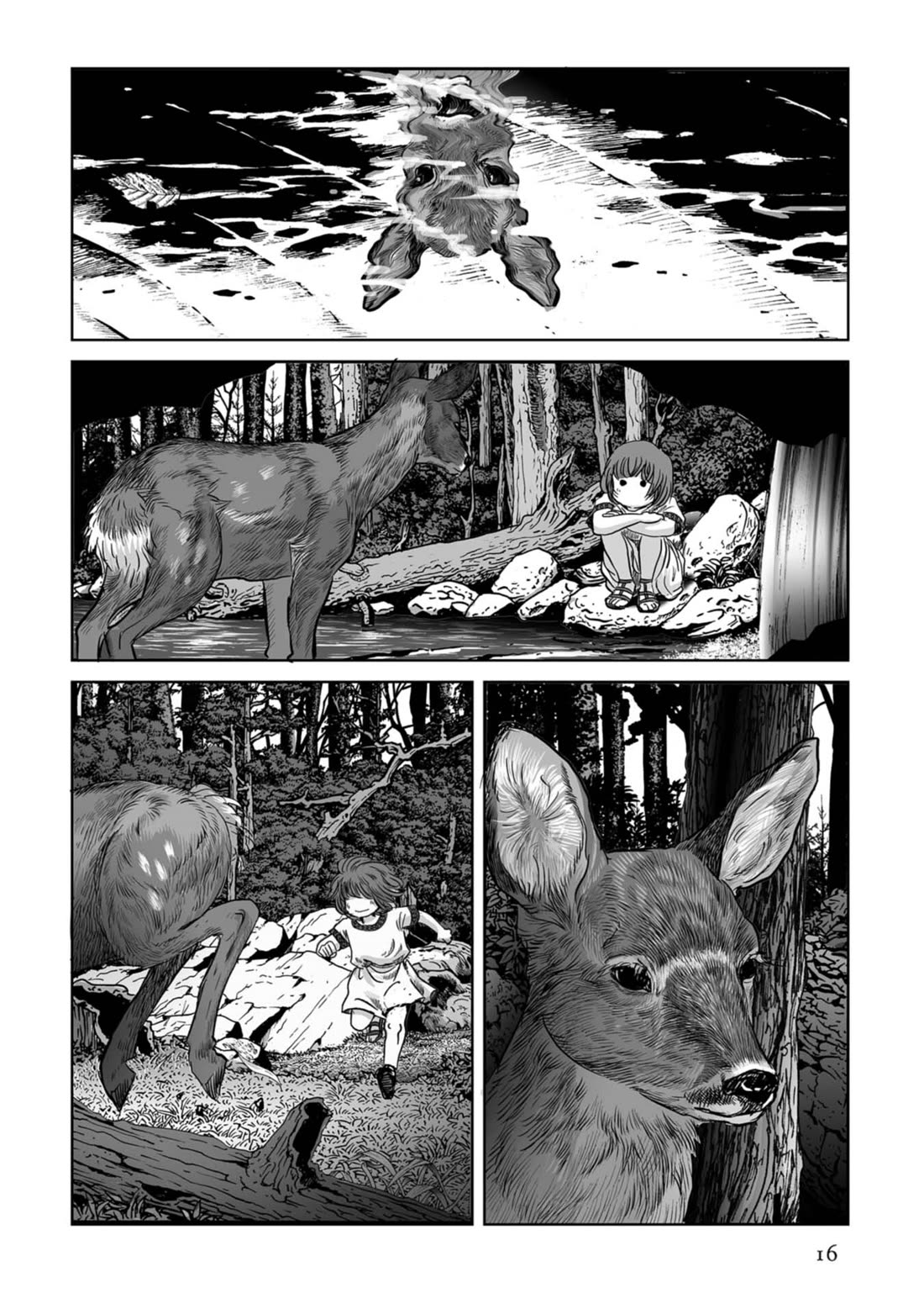 Plinivs chapter 71 page 16