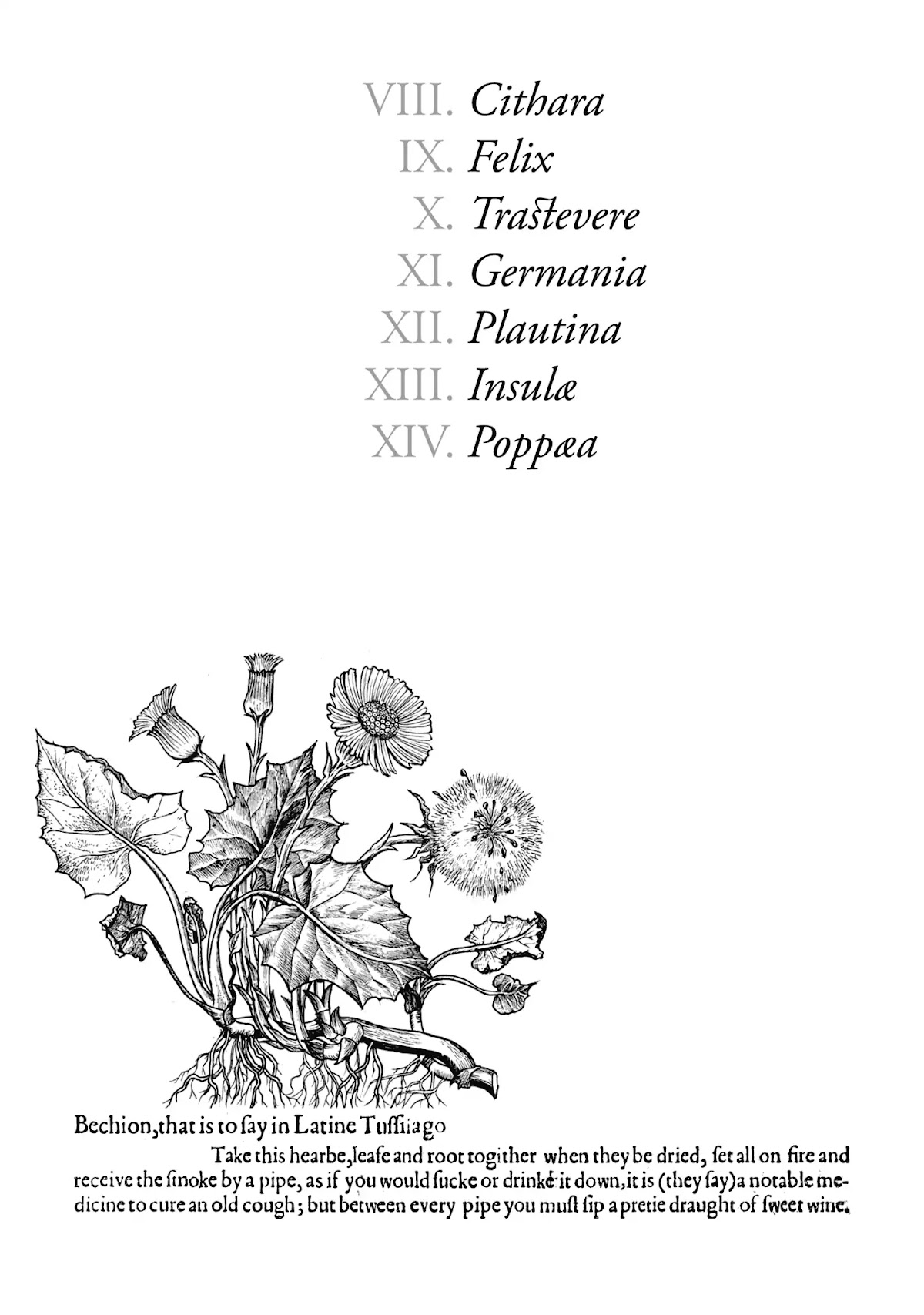 Plinivs chapter 8 page 3