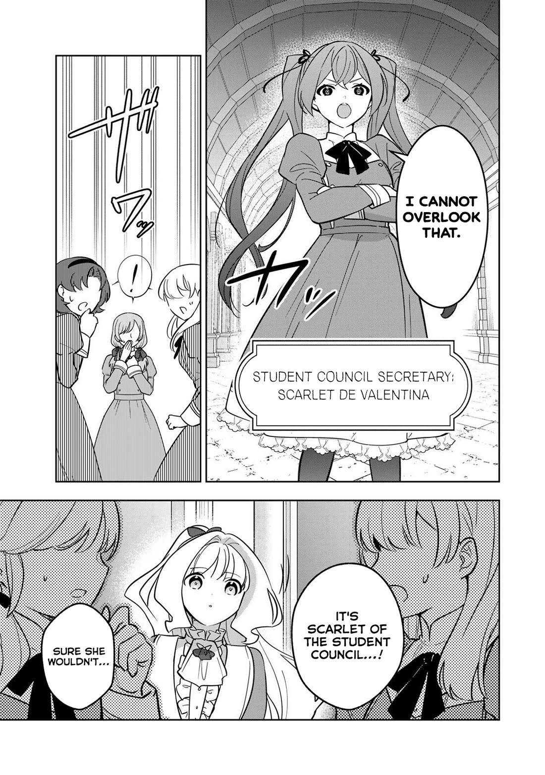 Princess Reincarnation ~ The Legendary Arch Mage (♂) becomes a Princess Knight and creates a Legendary Order of Lady Knights and becomes unrivaled ~ chapter 11 page 9