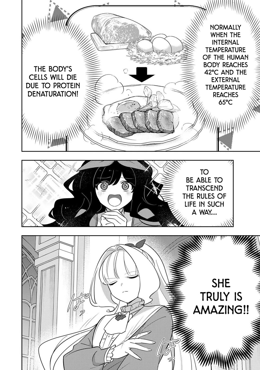 Princess Reincarnation ~ The Legendary Arch Mage (♂) becomes a Princess Knight and creates a Legendary Order of Lady Knights and becomes unrivaled ~ chapter 12 page 12