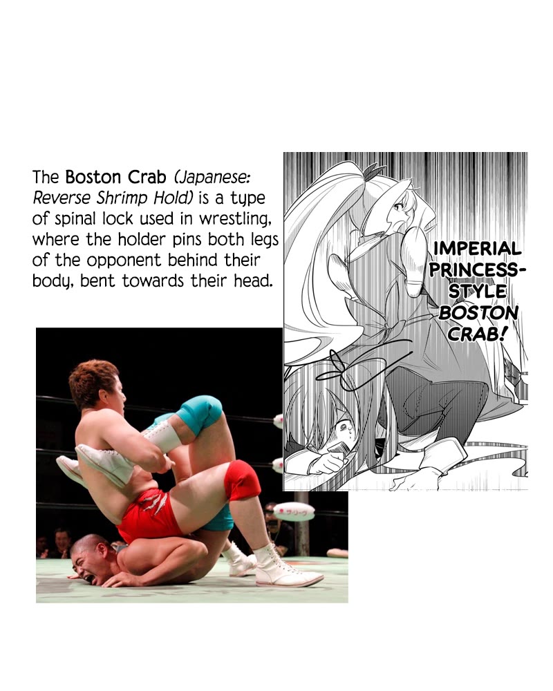 Princess Reincarnation ~ The Legendary Arch Mage (♂) becomes a Princess Knight and creates a Legendary Order of Lady Knights and becomes unrivaled ~ chapter 12 page 17