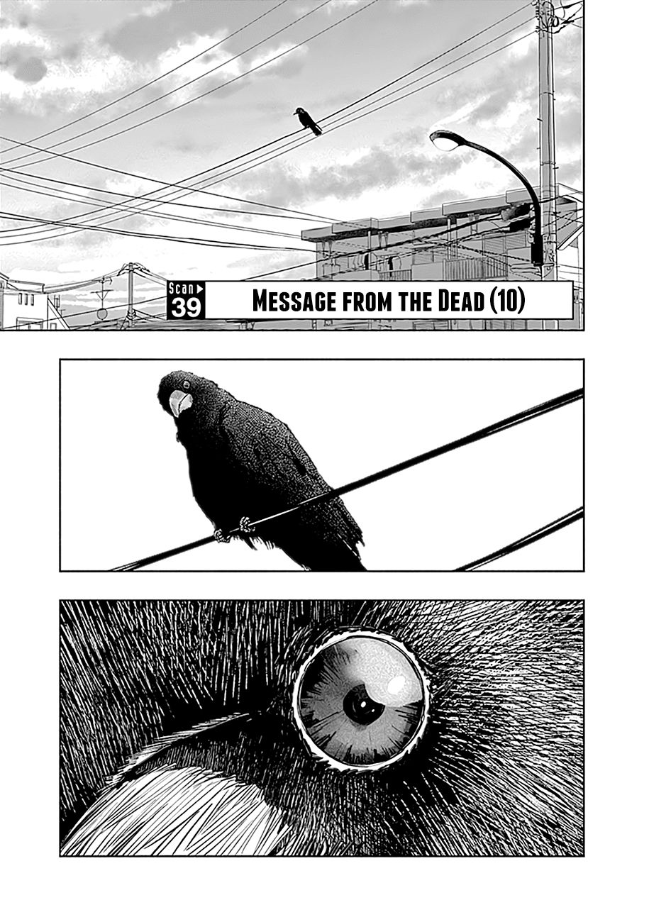 Radiation House chapter 39 page 2