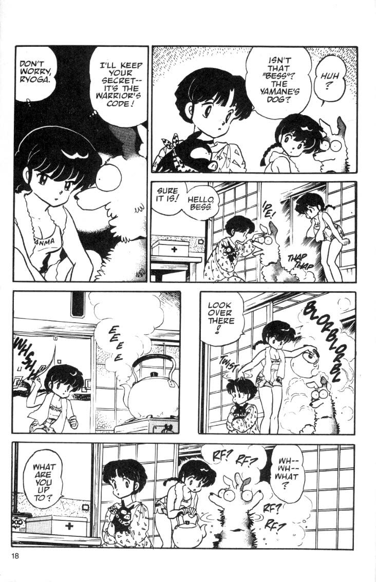 Ranma 1/2 chapter 15 page 17