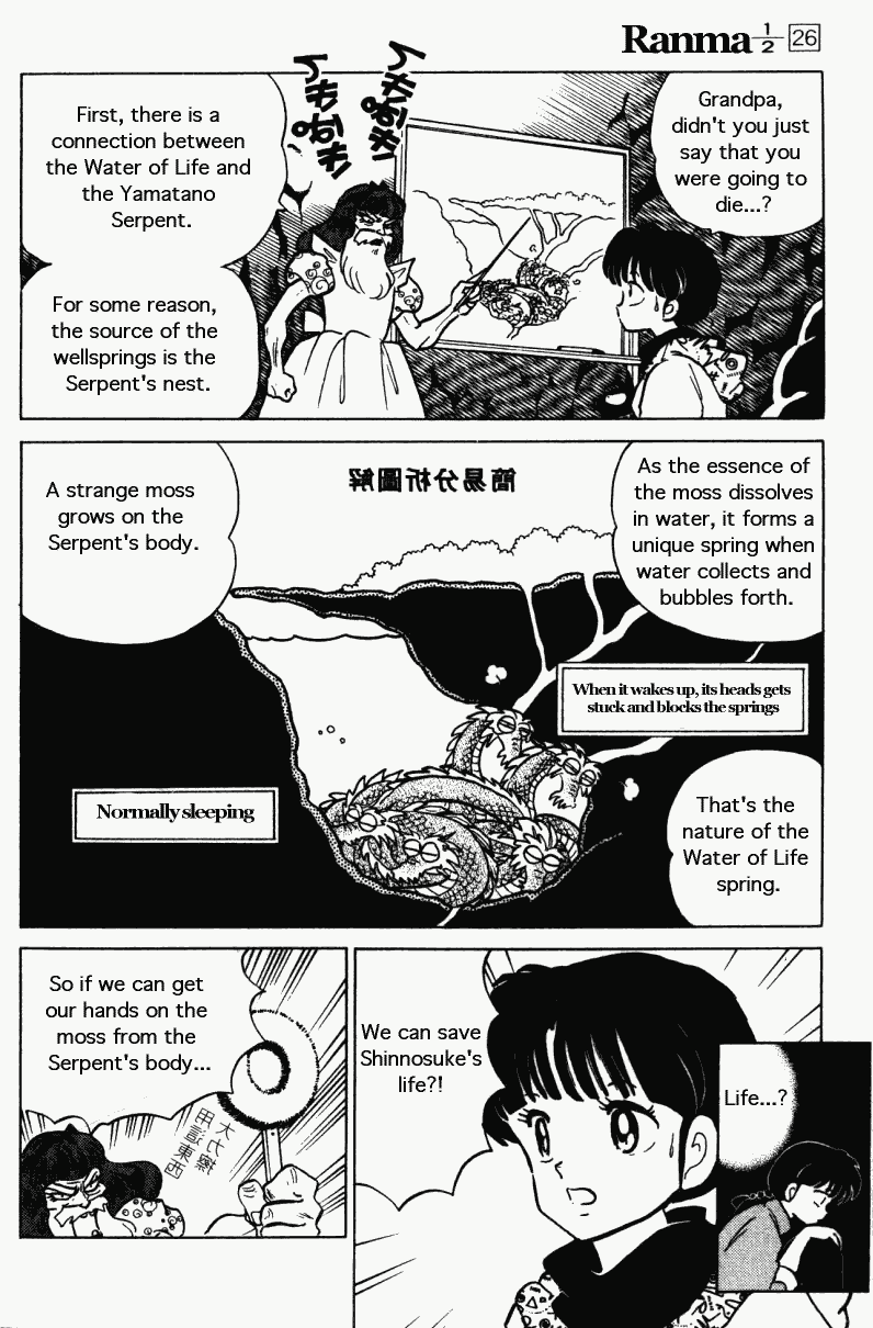Ranma 1/2 chapter 272 page 14