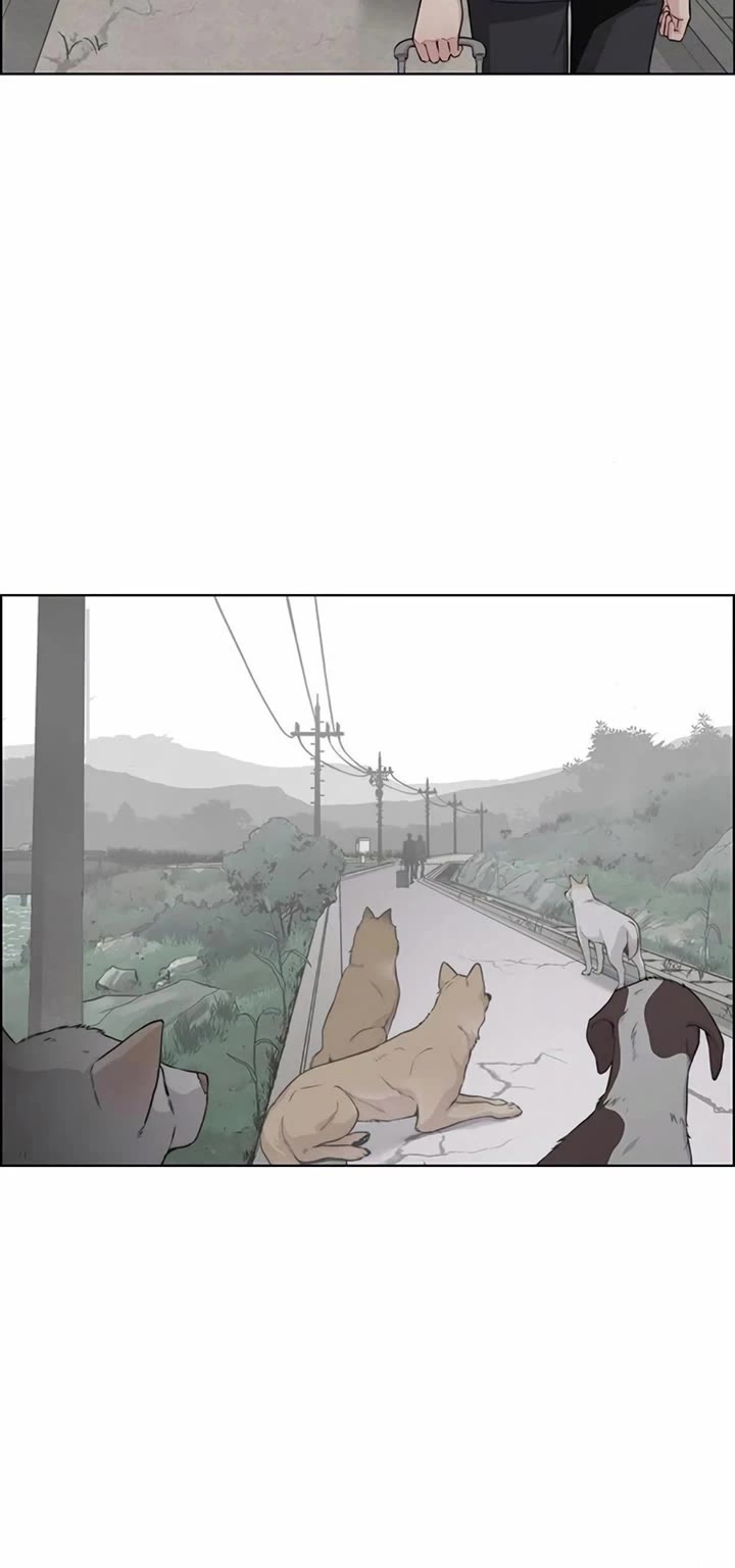 Real Man chapter 247 page 30