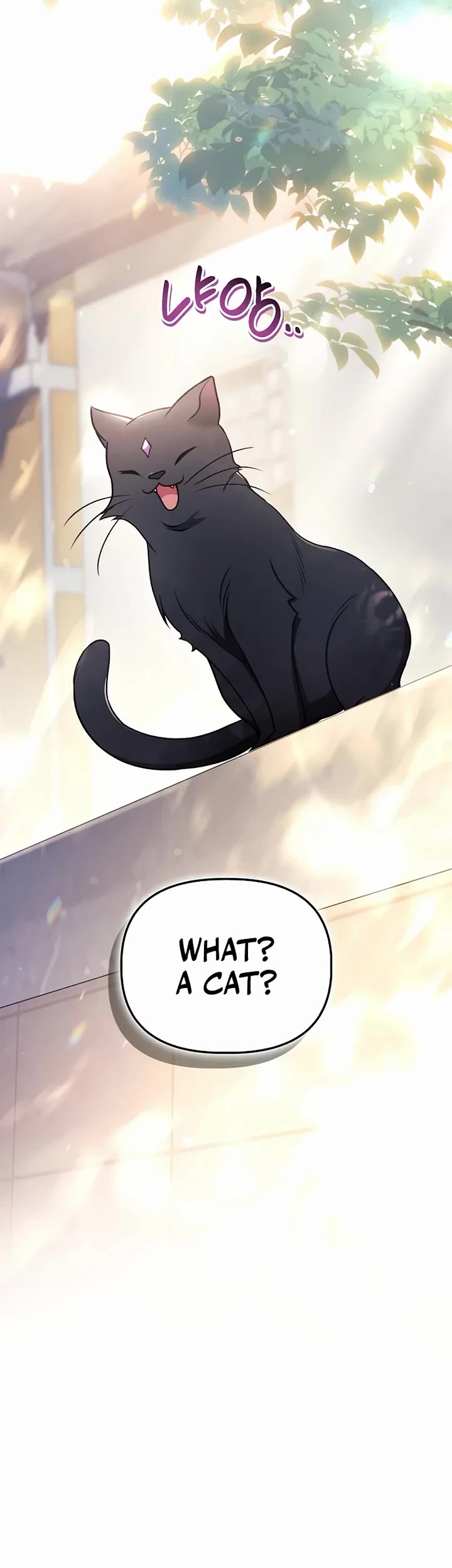 Regressor Instruction Manual chapter 170 page 26