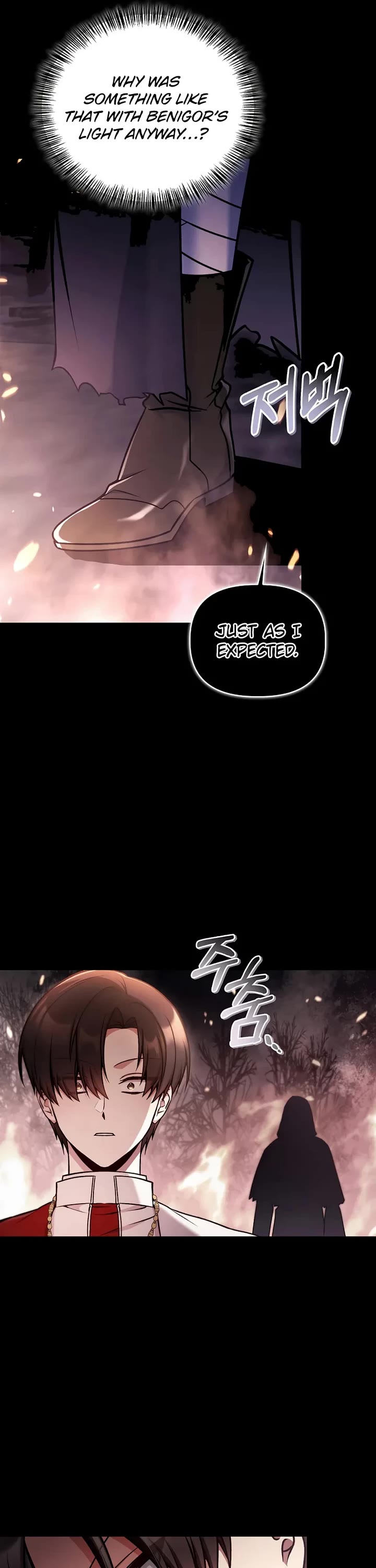 Regressor Instruction Manual chapter 177 page 35