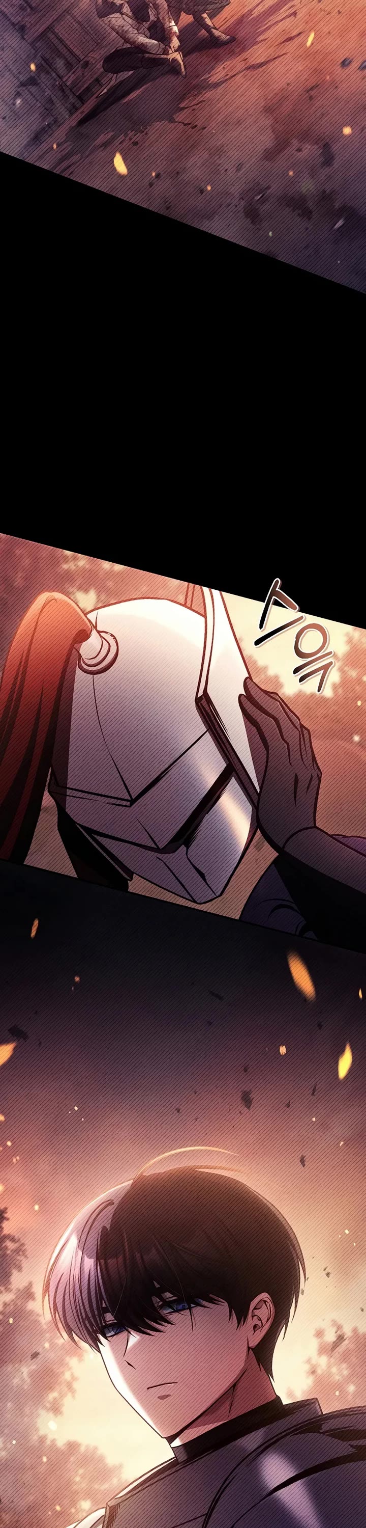 Regressor Instruction Manual chapter 178 page 51