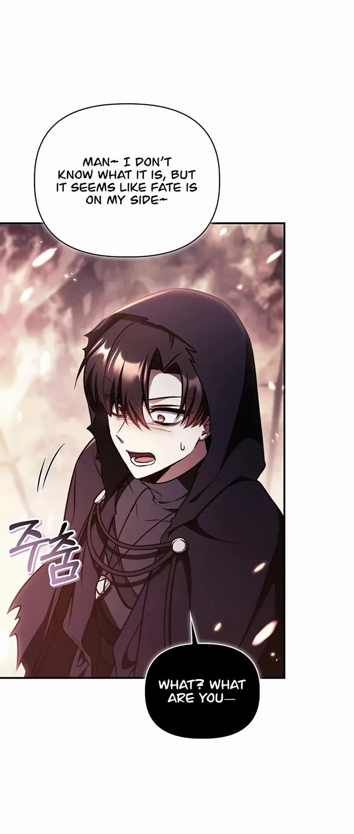 Regressor Instruction Manual chapter 179 page 9