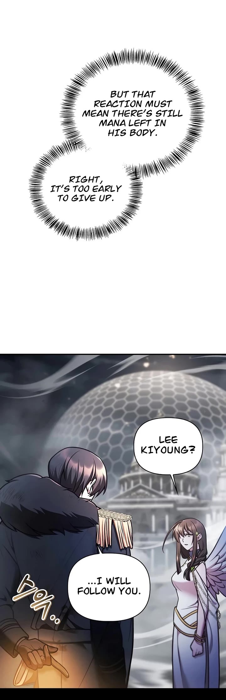 Regressor Instruction Manual chapter 189 page 15