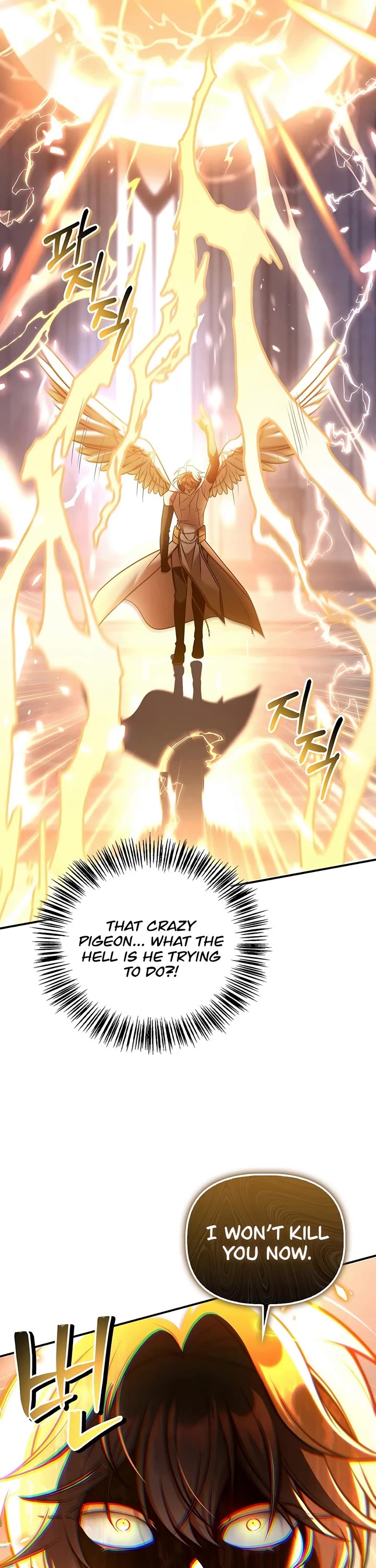 Regressor Instruction Manual chapter 196 page 40