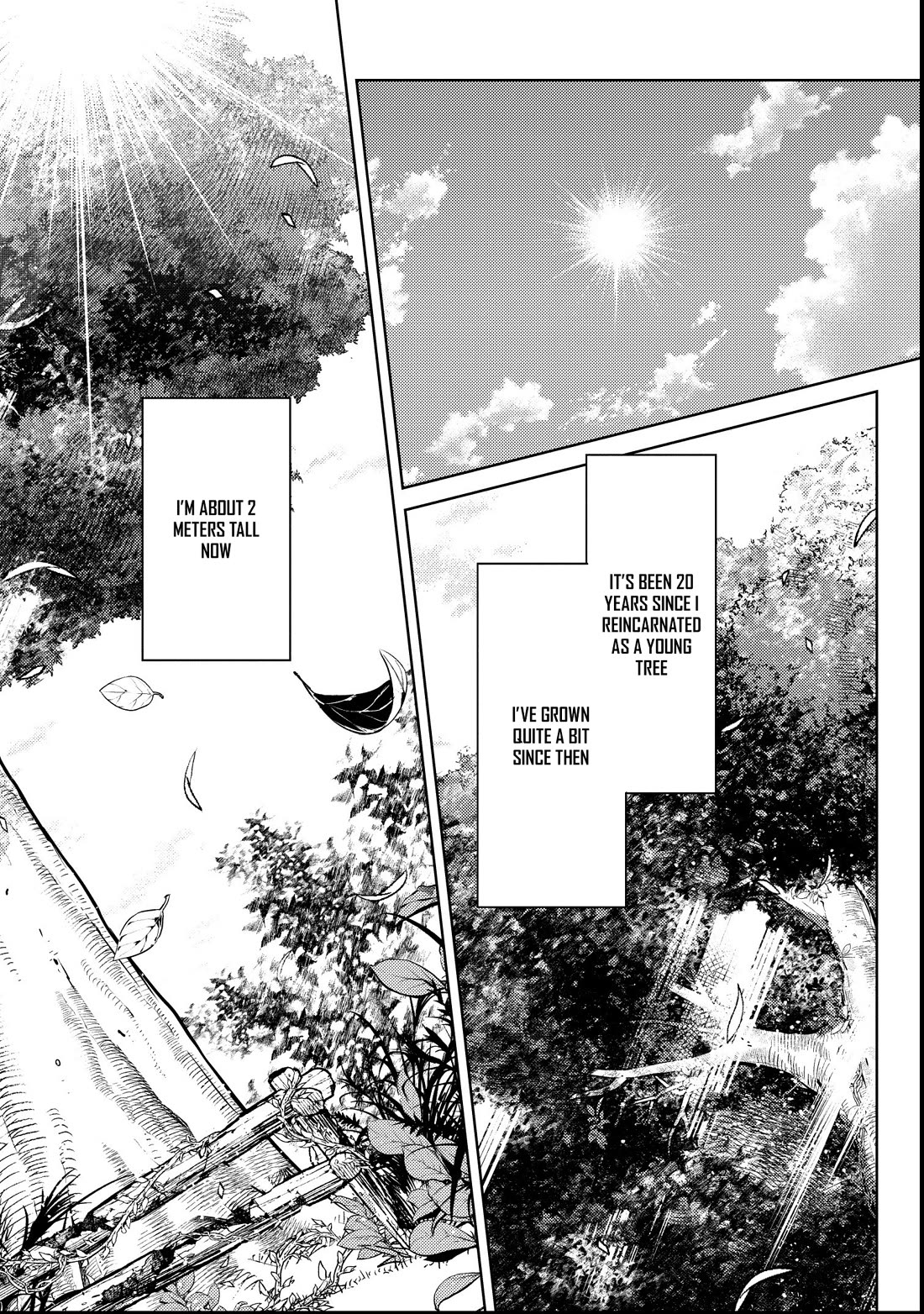 Reincarnated as the World Tree chapter 1 page 46