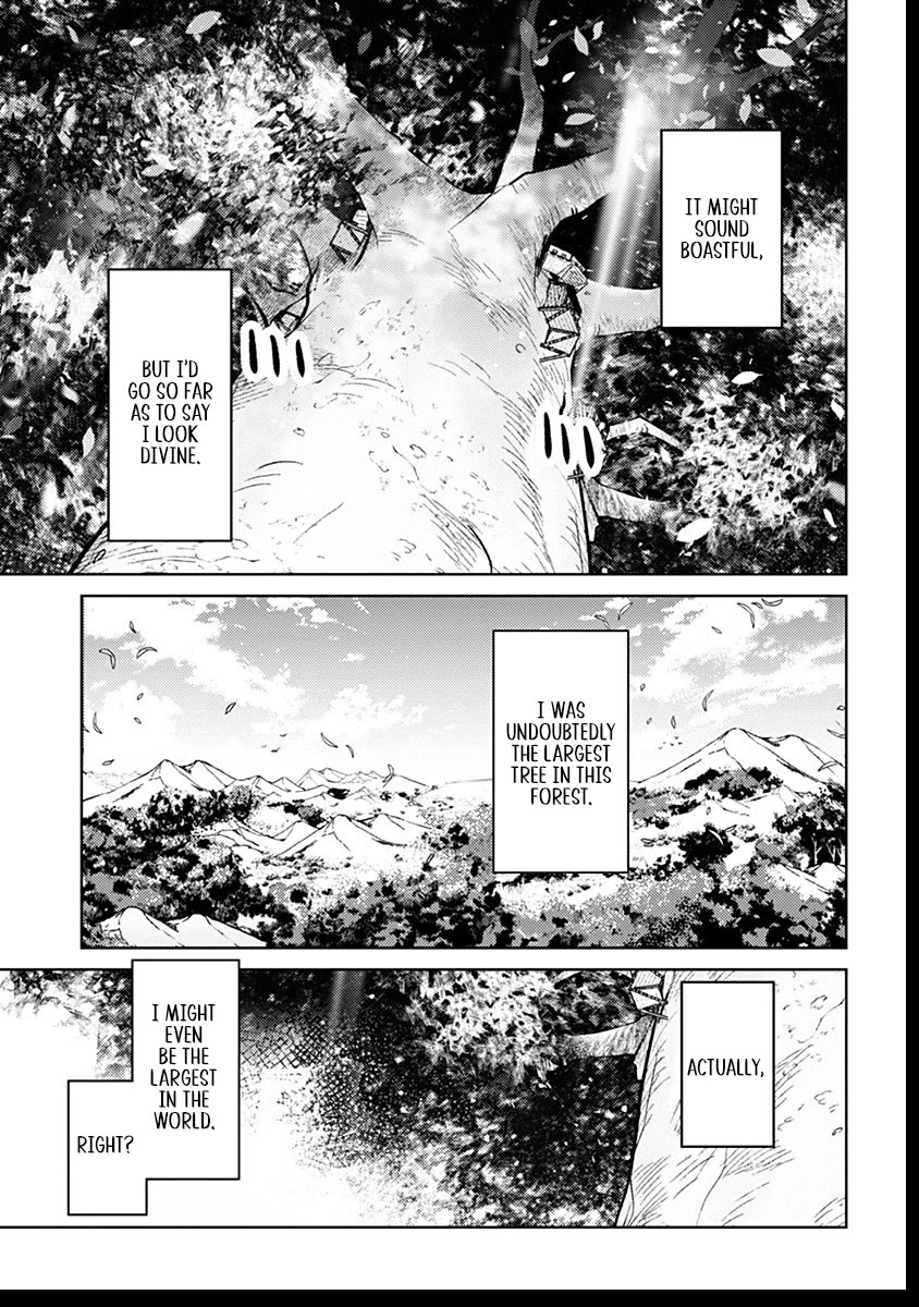 Reincarnated as the World Tree chapter 5 page 41