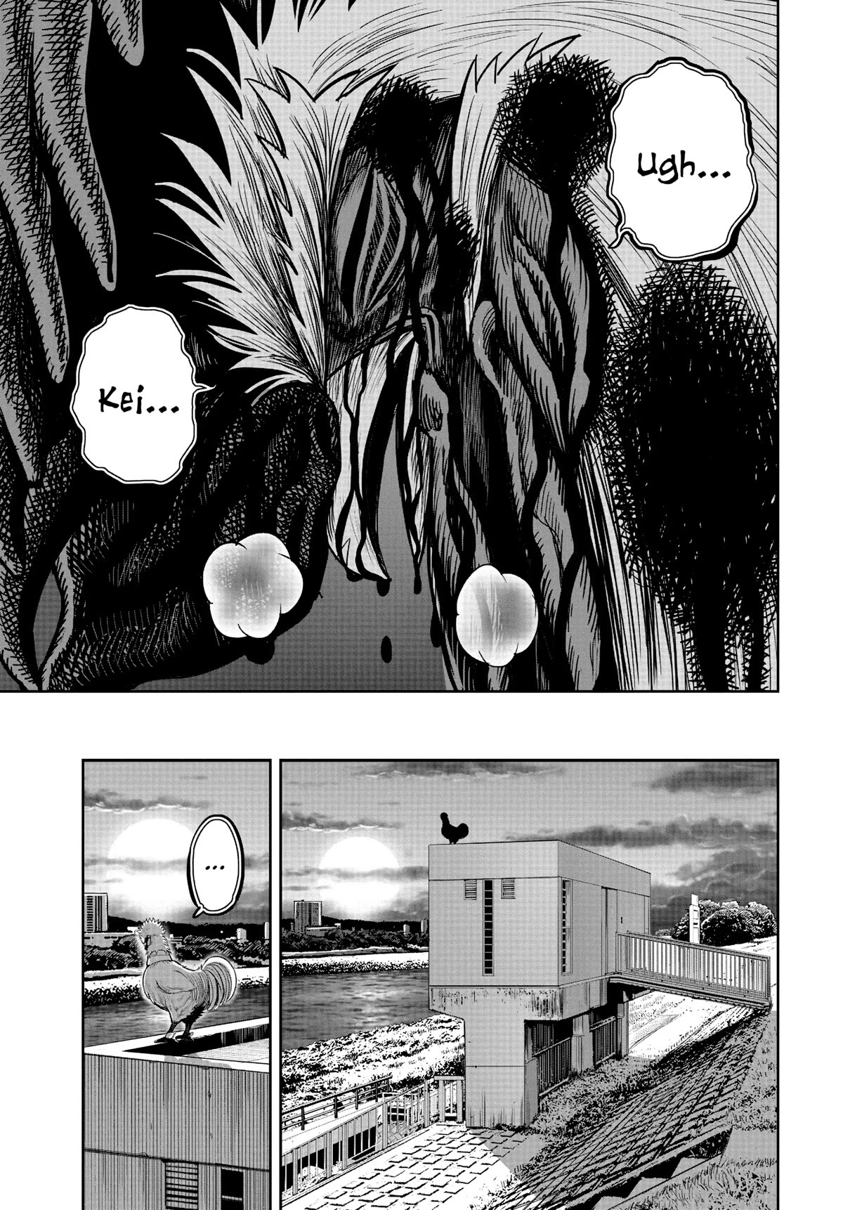 Rooster Fighter chapter 20 page 3