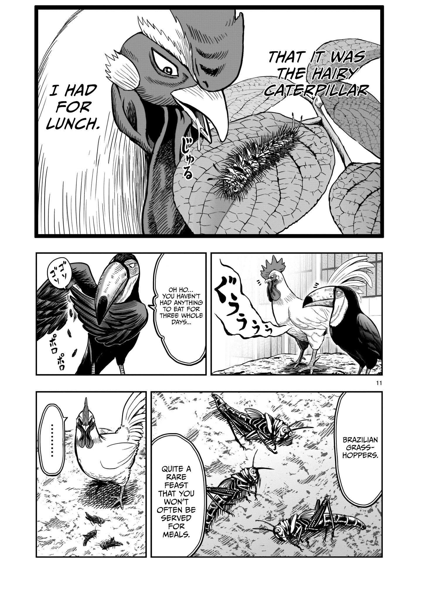 Rooster Fighter chapter 3 page 13