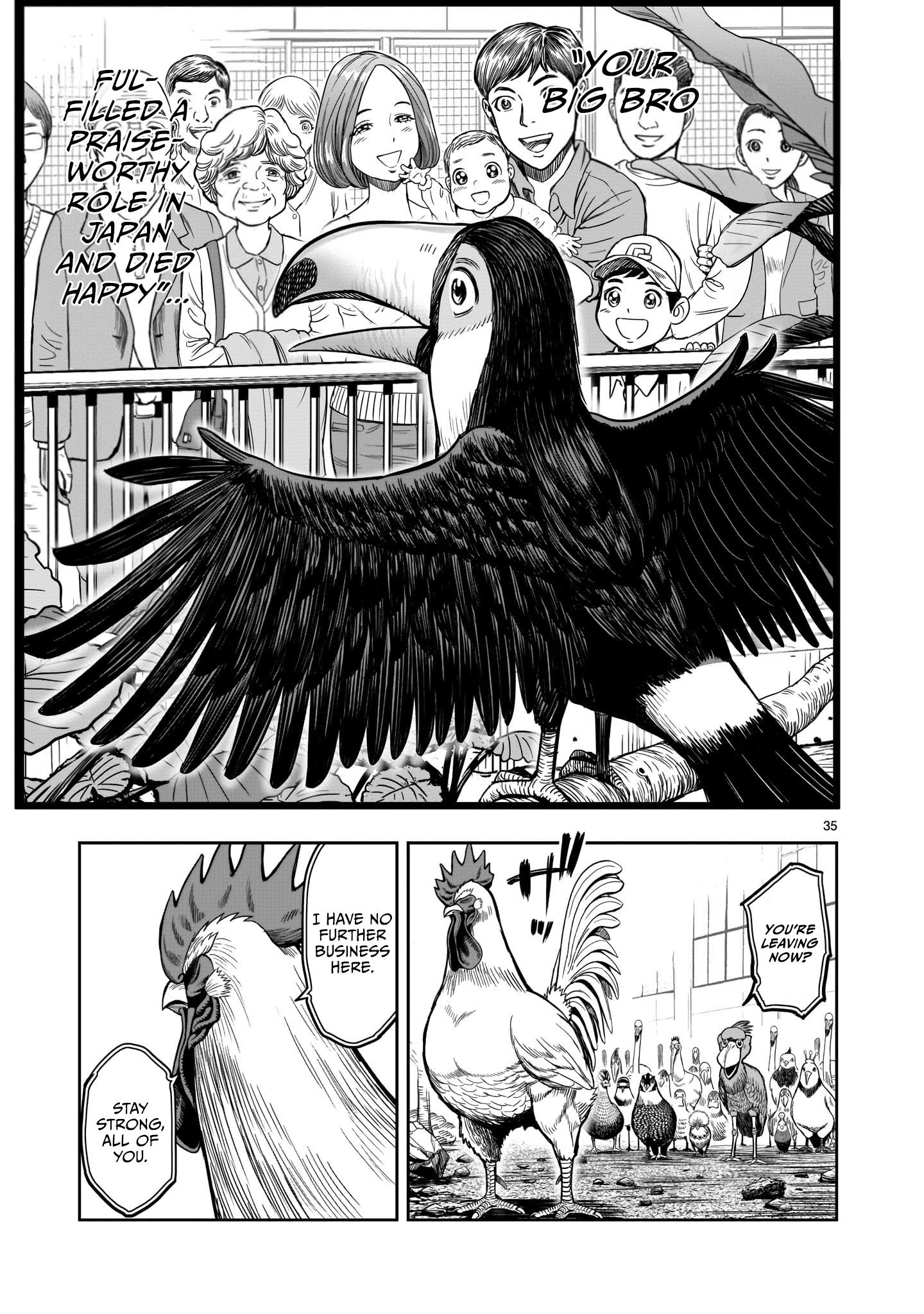 Rooster Fighter chapter 3 page 35